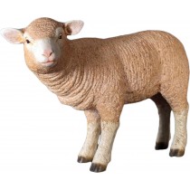 Standing Merino Lamb 62cm