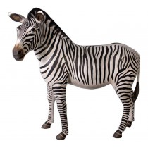 Zebra - 160cm