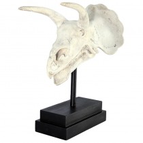 Triceratops Skull on Base - Roman Stone Finish 59cm 