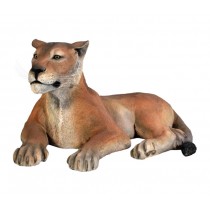 Lioness Lying Down - 145cm