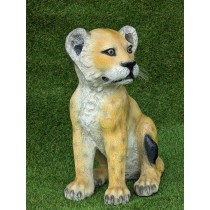 Lion Cub - Sitting 55cm