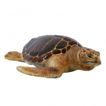 Loggerhead Turtle 121cm