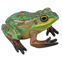 Green and Golden Bell Frog - 35cm