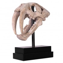 Saber Toothed Tiger Skull on Base - 51cm - Roman Stone Finish