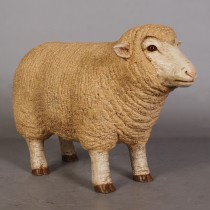 Merino Ewe Head Up - Small - 54cm