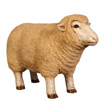 Merino Ewe Head Up - Small - 54cm