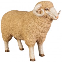 Merino Ram - Small - 55cm