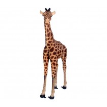 Baby Giraffe - 176cm