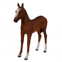 Foal - 137cm - Brown Painted Finish