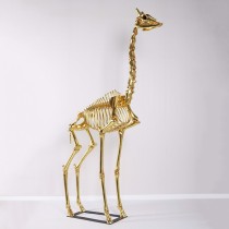 Giraffe Skeleton - 244cm - Gold Leaf Finish 
