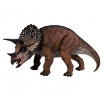 Definitive Triceratops - 102cm