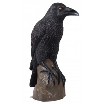 Giant Mystic Night Raven - 149cm