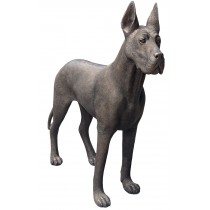 Great Dane - Standing - 130cm - Polished Bronze Finish