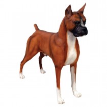 Boxer - 100cm