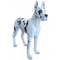 Great Dane White and Black Standing - 130cm