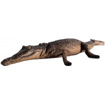 Crocodile Resting - 131cm