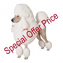 Poodle - White - 92cm