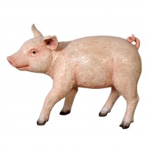 Chubby Piglet - Saddleback - 59cm