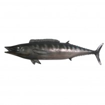 Wahoo - 149cm