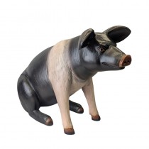 Small Sitting Pig 59cm - Saddleback