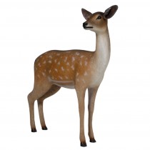 Fallow Deer - Doe - 120cm