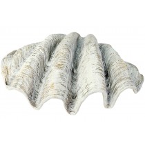 Large Shell 71cm