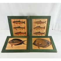 Fish Picture Assorted 35cm   MIN 4 