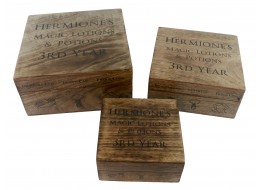 Set/3 Mango Wood Hermione Boxes 20.5cm