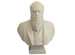 Charles Darwin Bust 69cm - R/S Finish
