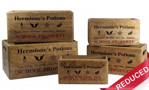 Set of 5 Mango Wood Hermione's Crates 34cm