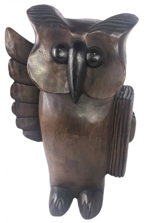 Standing Owl With Book - 51cm - EX DISPLAY