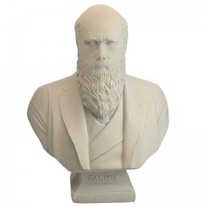 Charles Darwin Bust 69cm - R/S Finish