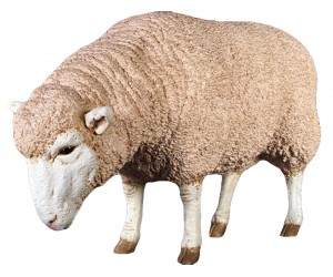 Merino Ewe Resin Statue 96cm