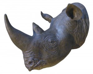Rhinoceros Head  ** Slight Seconds **