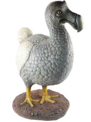 Dodo Bird - 93cm