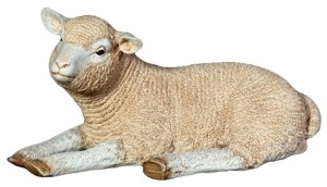 Merino Lamb Resting 61cm