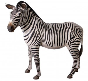 Zebra - 160cm