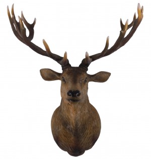 Grand Stag Head Wall Decor - 149cm