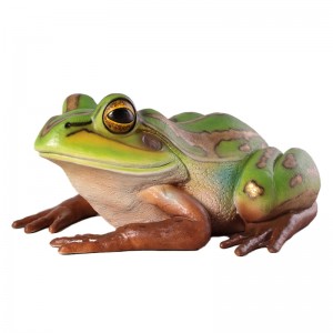 Giant Green and Golden Bell Frog - 84cm