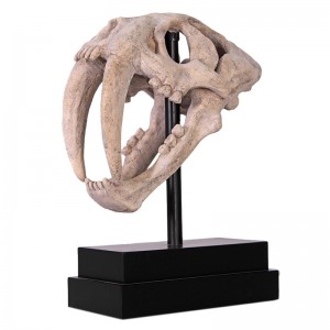 Saber Toothed Tiger Skull on Base - 51cm - Roman Stone Finish