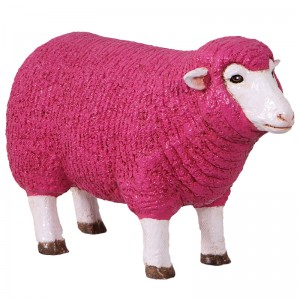 Merino Ewe Head Up - Small - 54cm - Pink Finish
