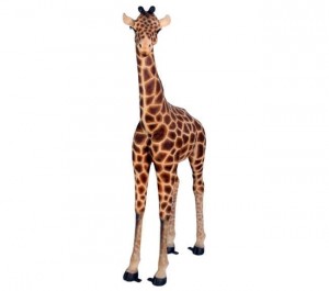Baby Giraffe - 176cm