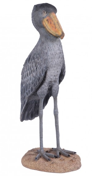 Shoebill Stork - 136cm