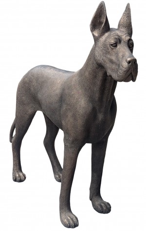 Great Dane - Standing - 130cm - Polished Bronze Finish
