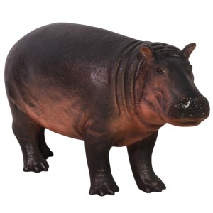 Baby Hippopotamus - 127cm