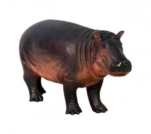 Baby Hippopotamus - 127cm