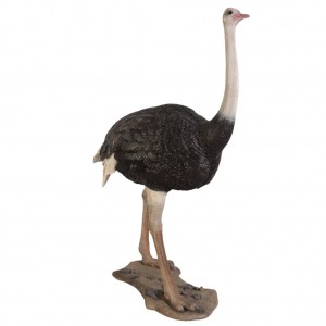 Ostrich - 213cm