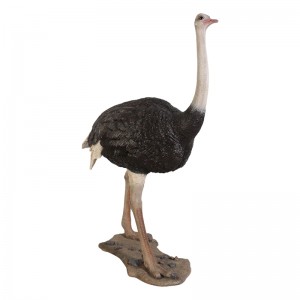 Ostrich - 213cm