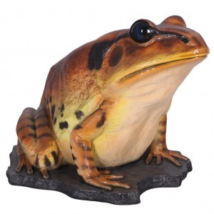 Great Barred Frog - 128cm