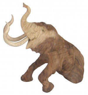 Hand Carved Wooden Mammoth  - 30cm